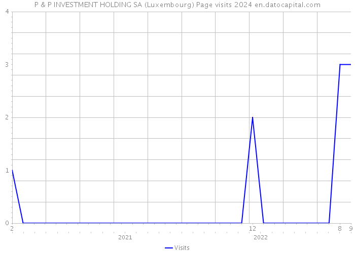 P & P INVESTMENT HOLDING SA (Luxembourg) Page visits 2024 