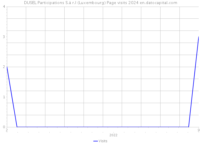 DUSEL Participations S.à r.l (Luxembourg) Page visits 2024 