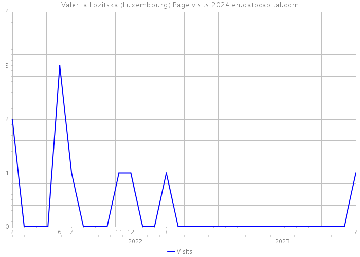 Valeriia Lozitska (Luxembourg) Page visits 2024 
