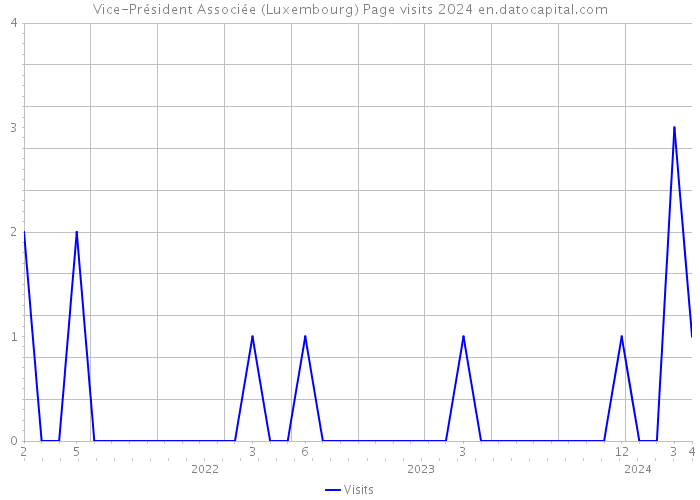 Vice-Président Associée (Luxembourg) Page visits 2024 