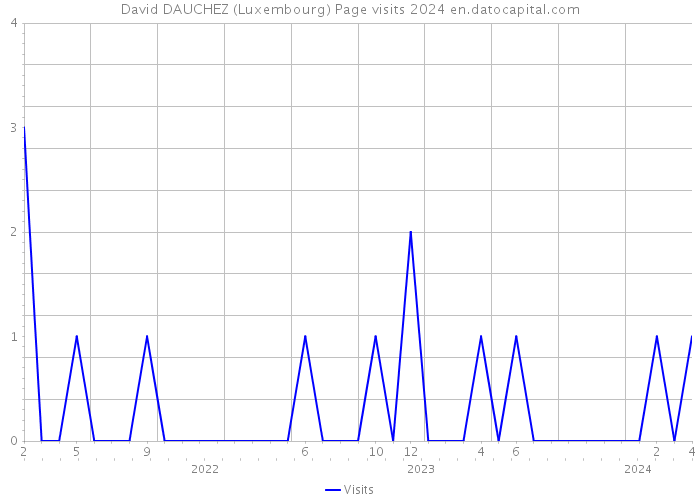 David DAUCHEZ (Luxembourg) Page visits 2024 
