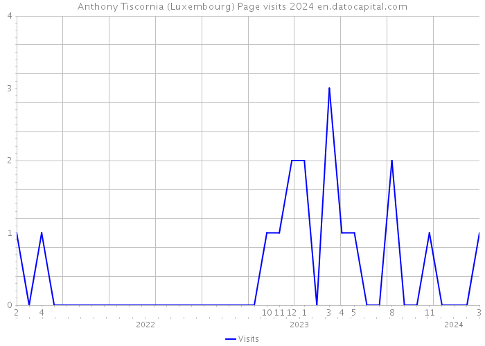 Anthony Tiscornia (Luxembourg) Page visits 2024 