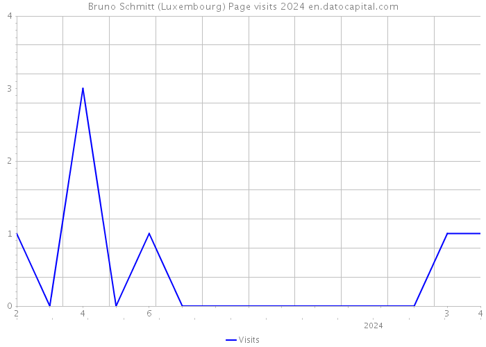 Bruno Schmitt (Luxembourg) Page visits 2024 