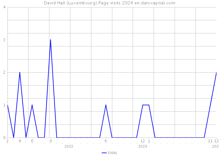 David Hall (Luxembourg) Page visits 2024 