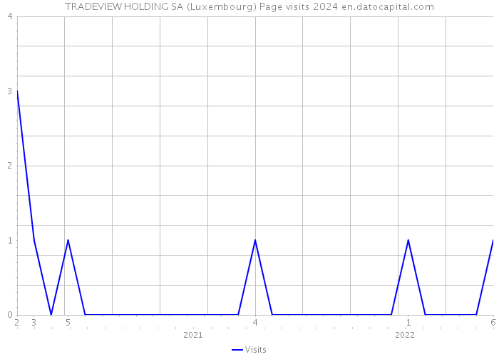 TRADEVIEW HOLDING SA (Luxembourg) Page visits 2024 