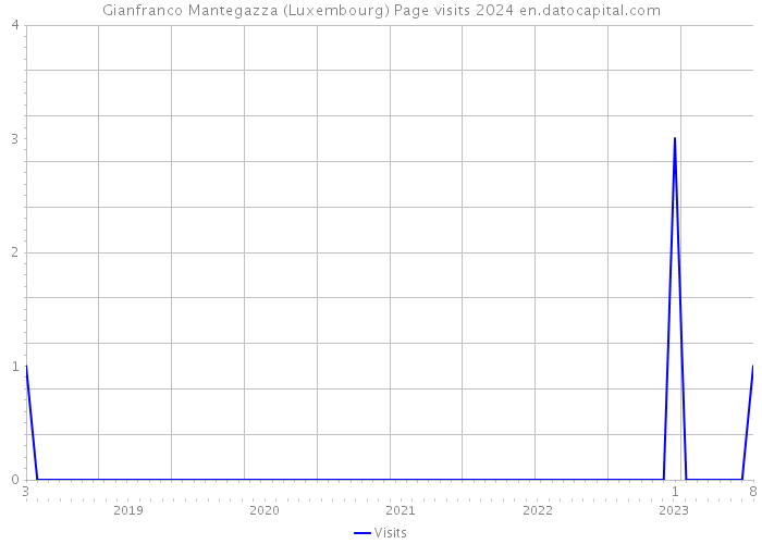 Gianfranco Mantegazza (Luxembourg) Page visits 2024 