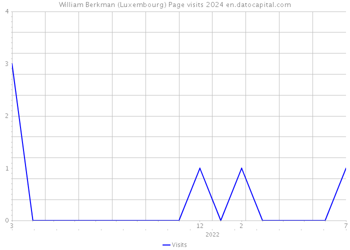 William Berkman (Luxembourg) Page visits 2024 