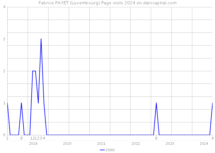 Fabrice PAYET (Luxembourg) Page visits 2024 