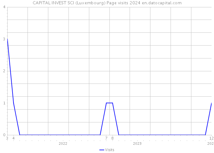 CAPITAL INVEST SCI (Luxembourg) Page visits 2024 