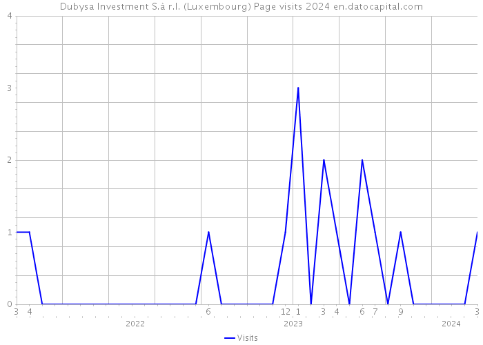Dubysa Investment S.à r.l. (Luxembourg) Page visits 2024 