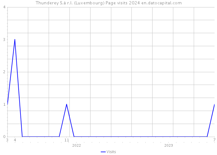 Thunderey S.à r.l. (Luxembourg) Page visits 2024 