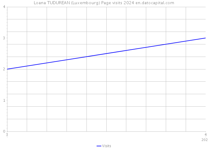 Loana TUDUREAN (Luxembourg) Page visits 2024 