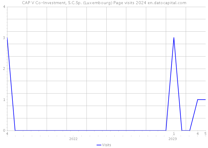 CAP V Co-Investment, S.C.Sp. (Luxembourg) Page visits 2024 
