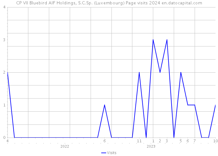 CP VII Bluebird AIF Holdings, S.C.Sp. (Luxembourg) Page visits 2024 