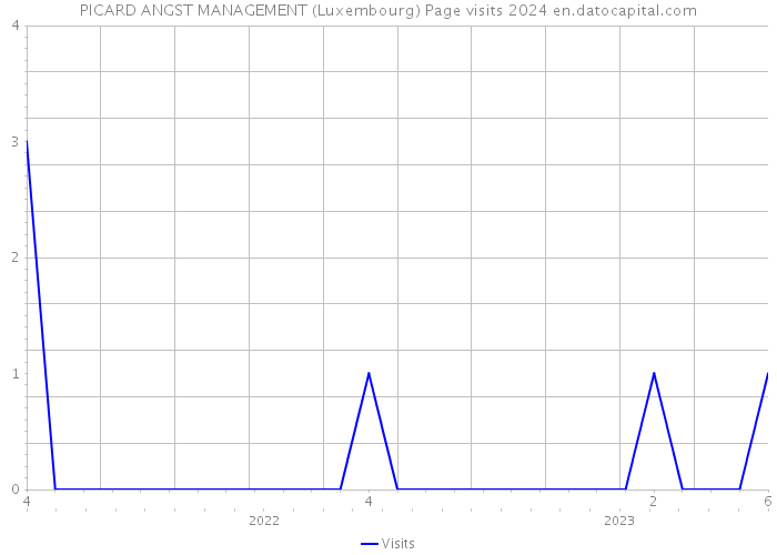 PICARD ANGST MANAGEMENT (Luxembourg) Page visits 2024 