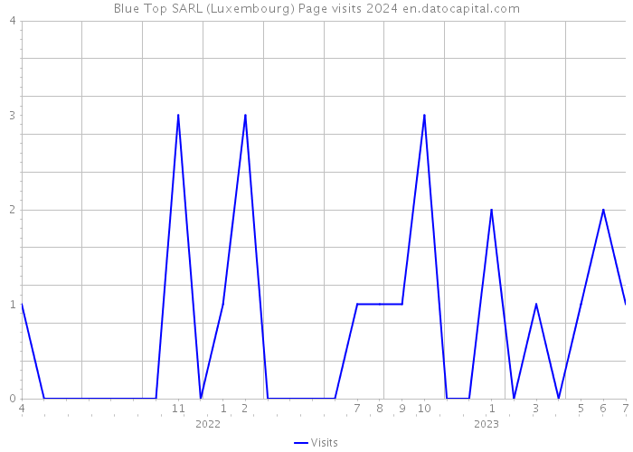 Blue Top SARL (Luxembourg) Page visits 2024 