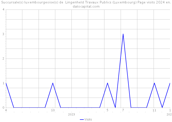 Succursale(s) luxembourgeoise(s) de Lingenheld Travaux Publics (Luxembourg) Page visits 2024 