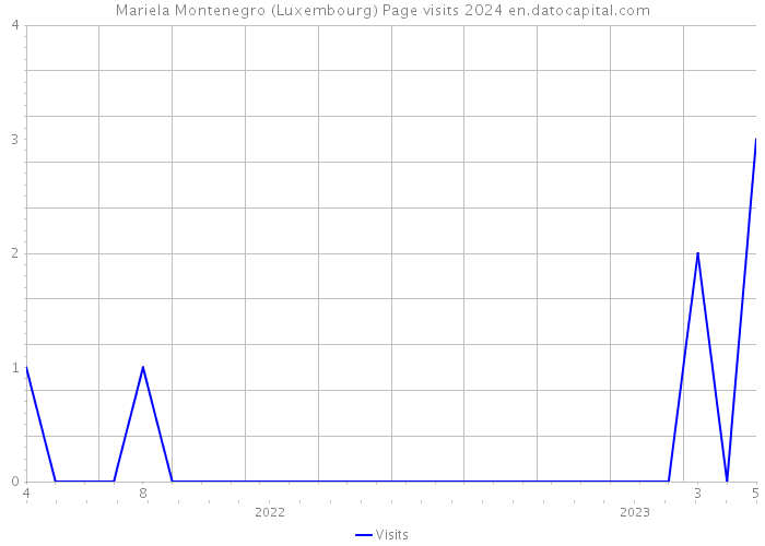 Mariela Montenegro (Luxembourg) Page visits 2024 