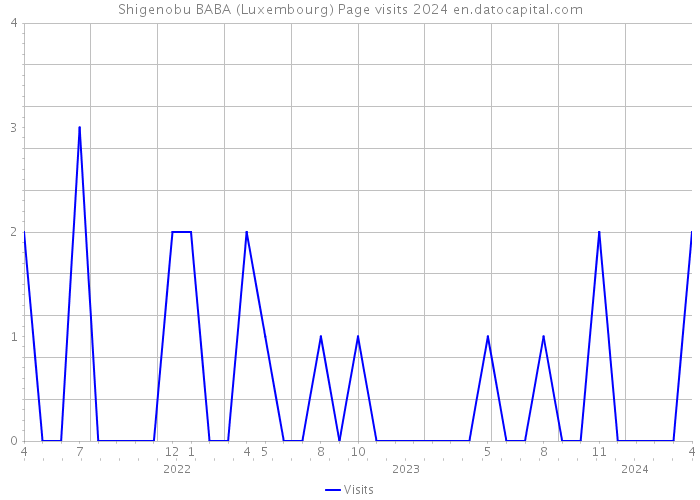Shigenobu BABA (Luxembourg) Page visits 2024 