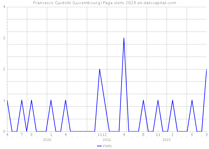 Francesco Guidotti (Luxembourg) Page visits 2024 
