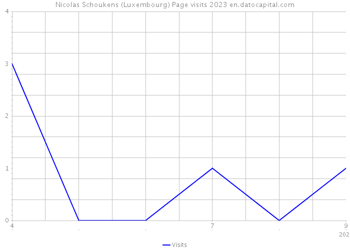 Nicolas Schoukens (Luxembourg) Page visits 2023 