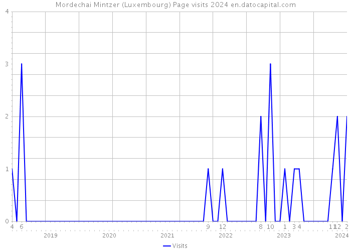 Mordechai Mintzer (Luxembourg) Page visits 2024 