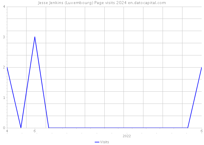 Jesse Jenkins (Luxembourg) Page visits 2024 