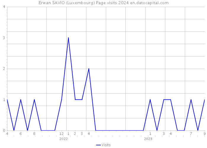 Erwan SAVIO (Luxembourg) Page visits 2024 