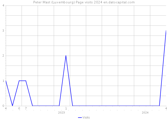 Peter Mast (Luxembourg) Page visits 2024 