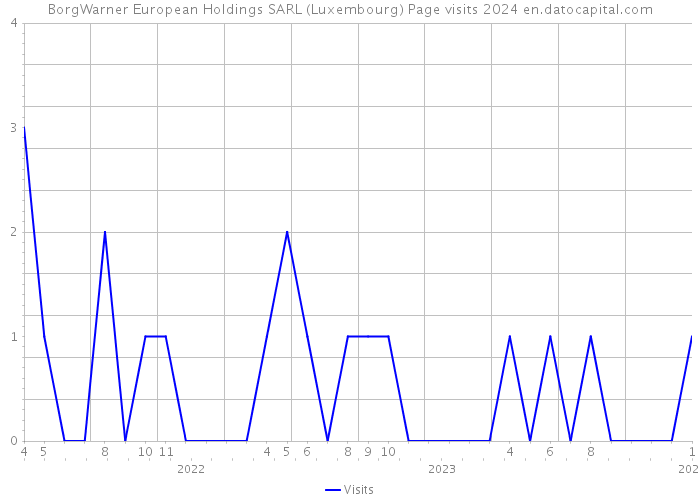 BorgWarner European Holdings SARL (Luxembourg) Page visits 2024 