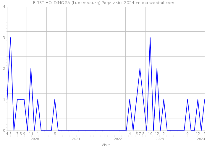 FIRST HOLDING SA (Luxembourg) Page visits 2024 