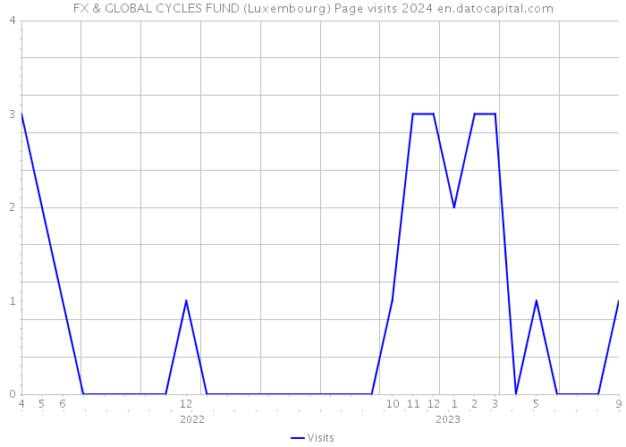 FX & GLOBAL CYCLES FUND (Luxembourg) Page visits 2024 