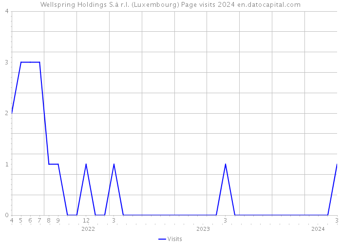 Wellspring Holdings S.à r.l. (Luxembourg) Page visits 2024 