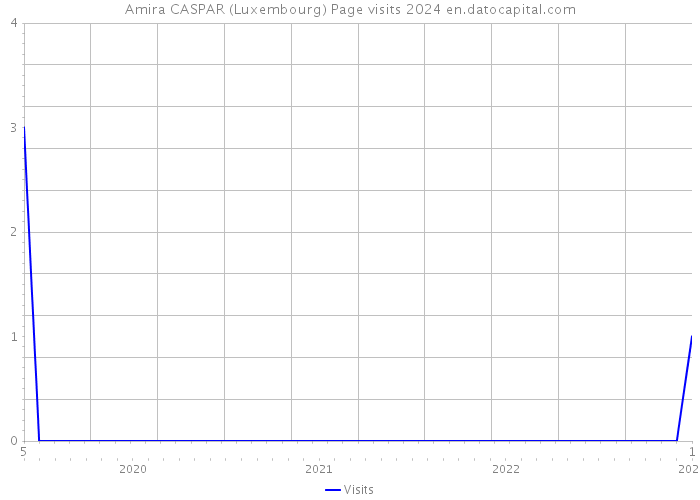 Amira CASPAR (Luxembourg) Page visits 2024 