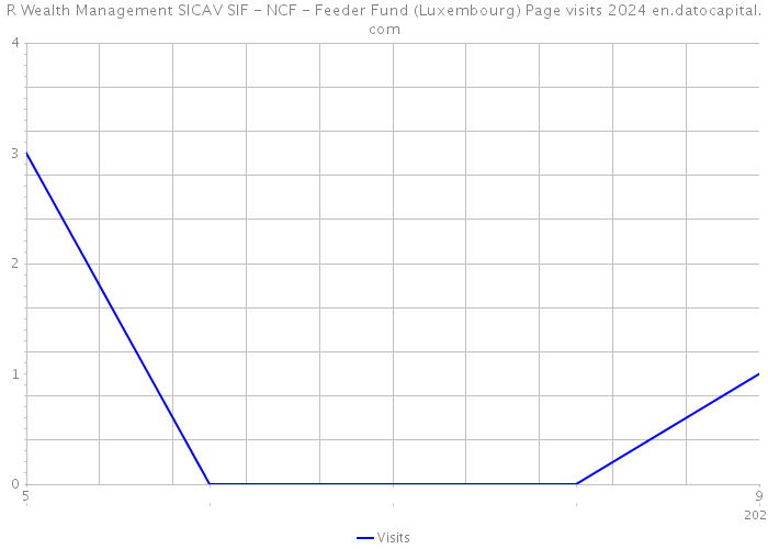 R Wealth Management SICAV SIF - NCF - Feeder Fund (Luxembourg) Page visits 2024 