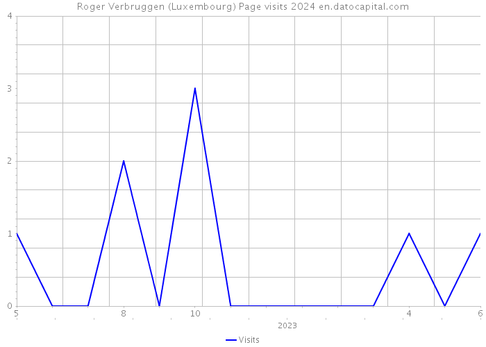 Roger Verbruggen (Luxembourg) Page visits 2024 