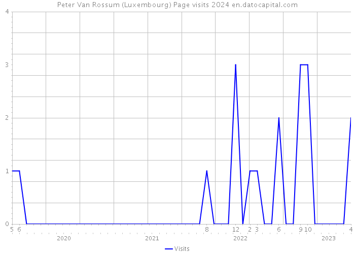 Peter Van Rossum (Luxembourg) Page visits 2024 