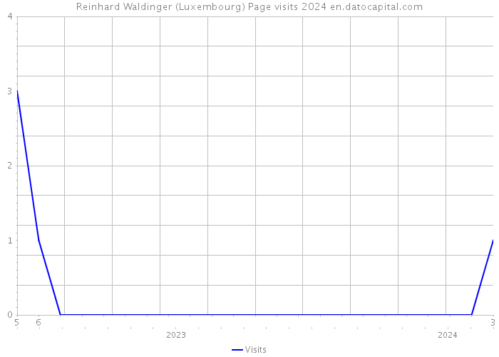 Reinhard Waldinger (Luxembourg) Page visits 2024 