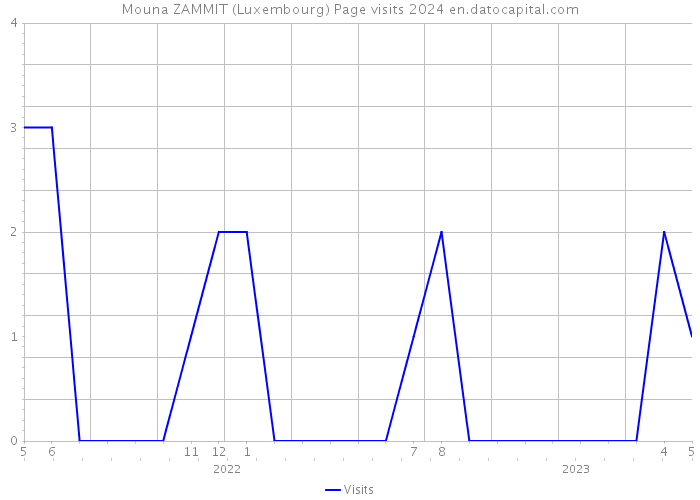 Mouna ZAMMIT (Luxembourg) Page visits 2024 