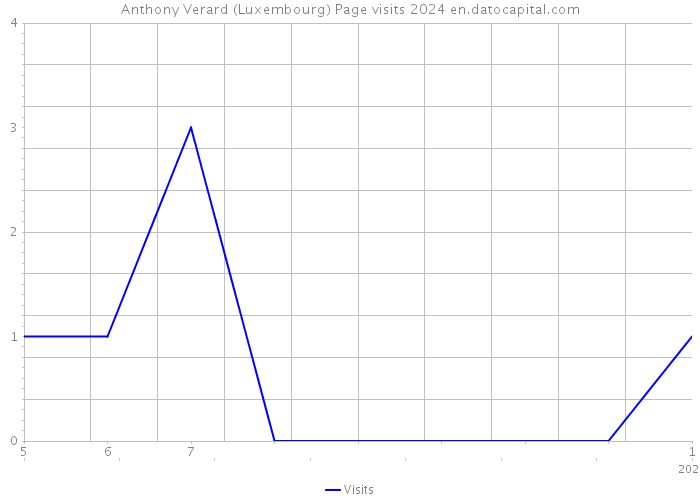 Anthony Verard (Luxembourg) Page visits 2024 