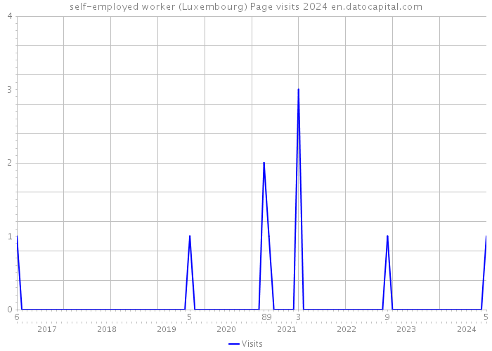 self-employed worker (Luxembourg) Page visits 2024 