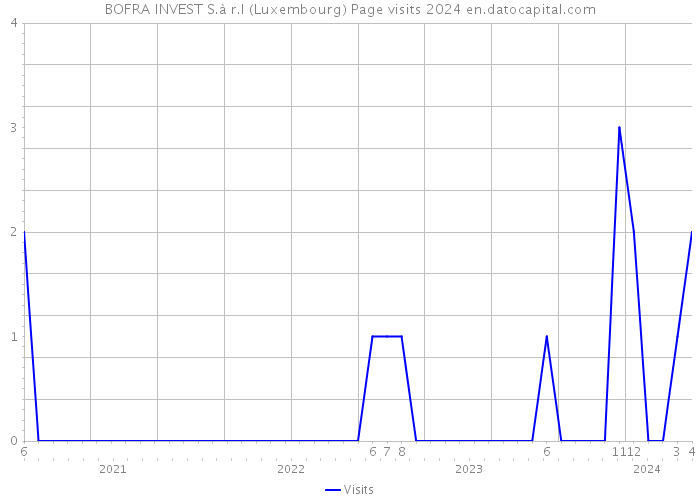 BOFRA INVEST S.à r.l (Luxembourg) Page visits 2024 
