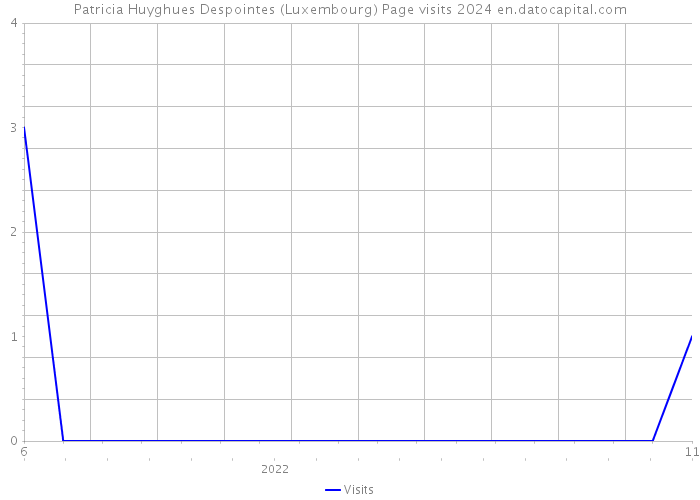 Patricia Huyghues Despointes (Luxembourg) Page visits 2024 