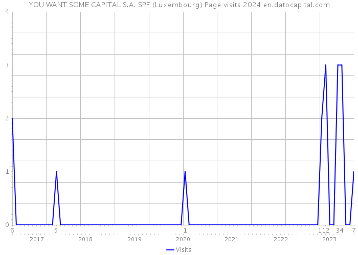 YOU WANT SOME CAPITAL S.A. SPF (Luxembourg) Page visits 2024 
