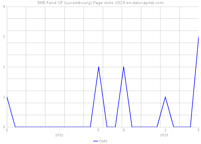 SME Fund GP (Luxembourg) Page visits 2024 