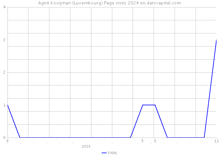 Agnè Kooijman (Luxembourg) Page visits 2024 