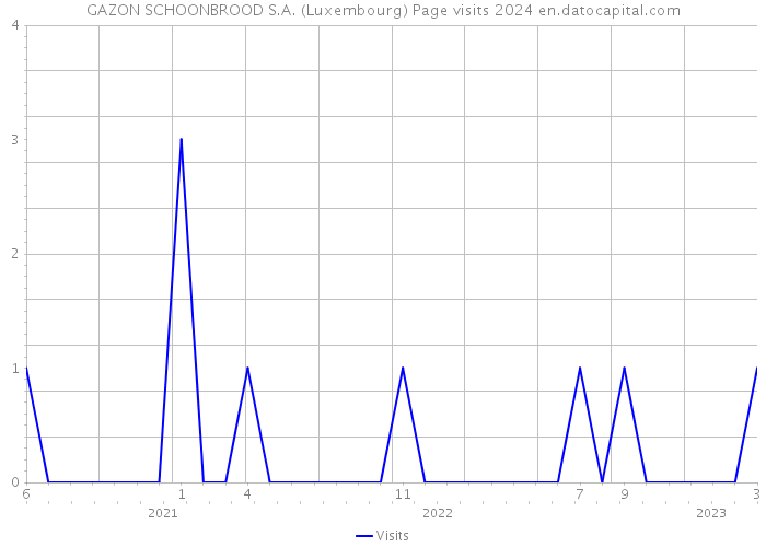 GAZON SCHOONBROOD S.A. (Luxembourg) Page visits 2024 