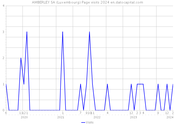 AMBERLEY SA (Luxembourg) Page visits 2024 