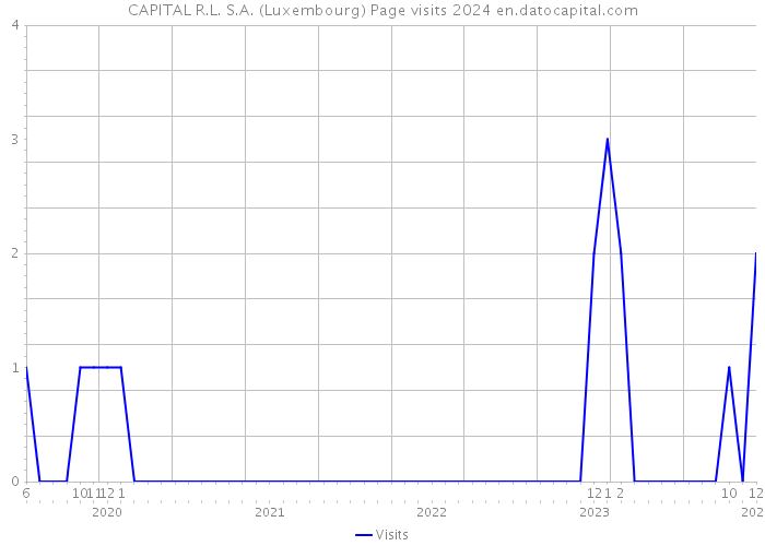 CAPITAL R.L. S.A. (Luxembourg) Page visits 2024 