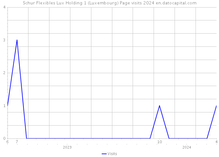 Schur Flexibles Lux Holding 1 (Luxembourg) Page visits 2024 